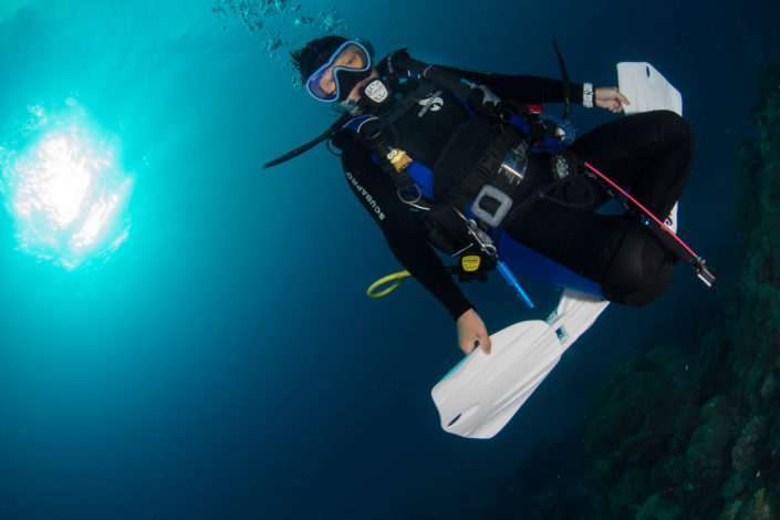 Australia, Cairns - scuba diving at Great Barrier Reef