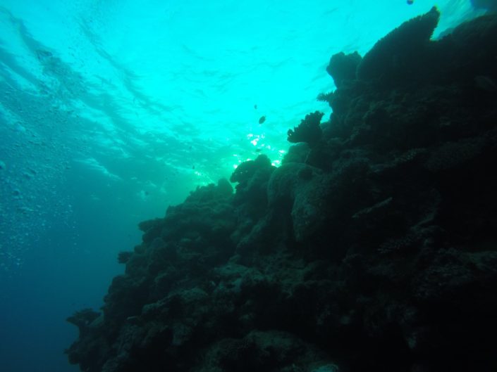 Australia, Cairns - scuba diving at Great Barrier Reef