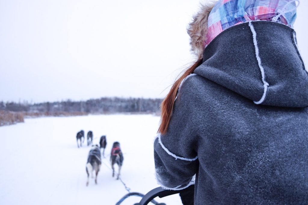 Canada, Northwest Territories, Yellowknife - dog sled