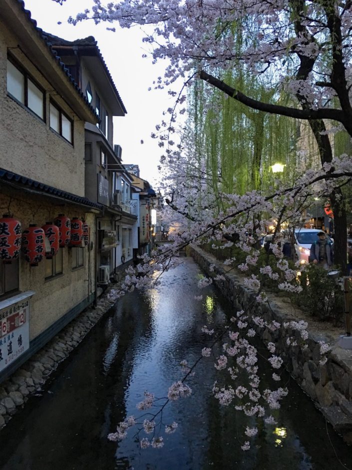 Japan, Kyoto - Kiyamachi Dori