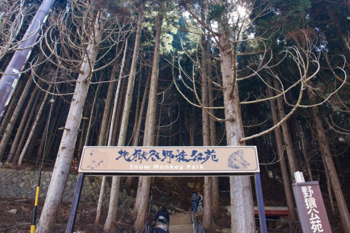 Japan, Nagano Prefecture, Hakuba - Jigokudani Monkey Park
