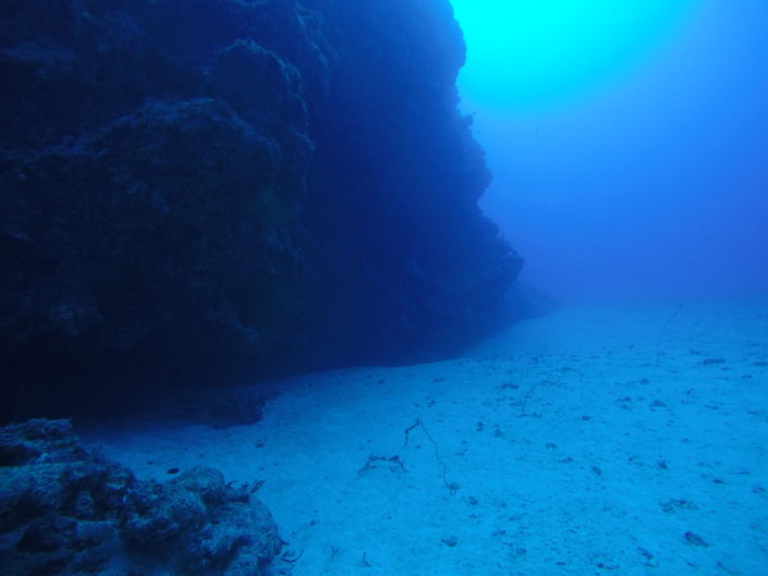 Japan, Okinawa - scuba diving