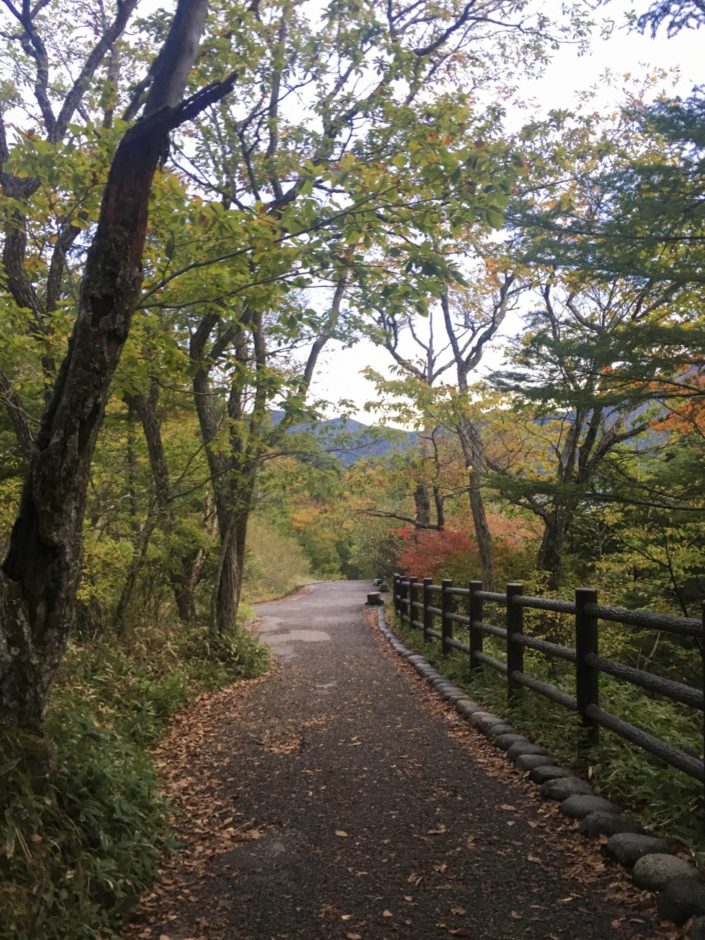 Japan, Tochigi Prefecture - Nikko - Ryūzu Falls