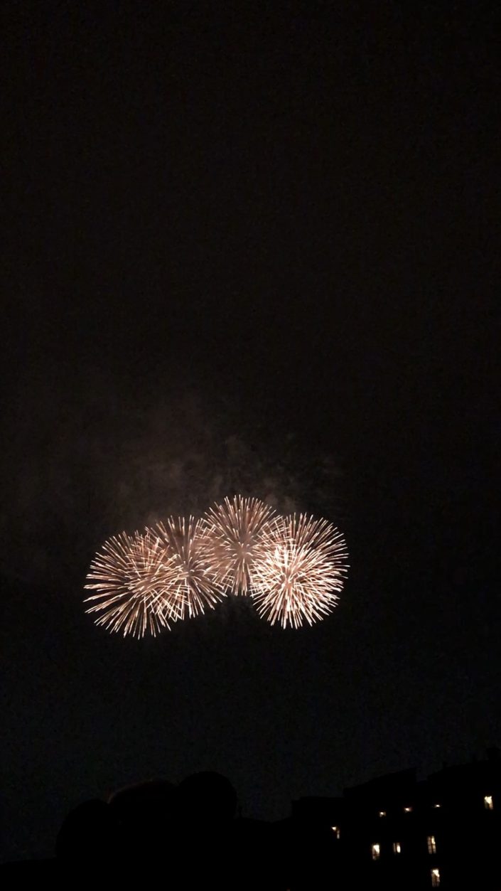 Japan, Tokyo - Disneyland fireworks