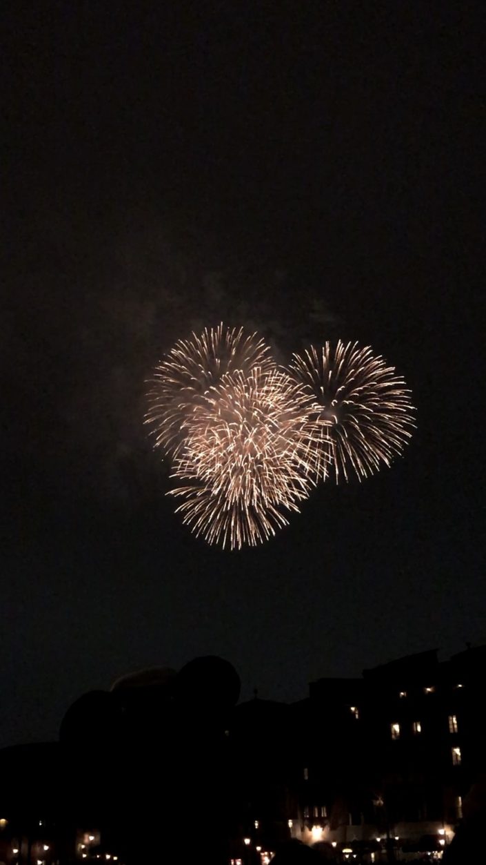 Japan, Tokyo - Disneyland fireworks