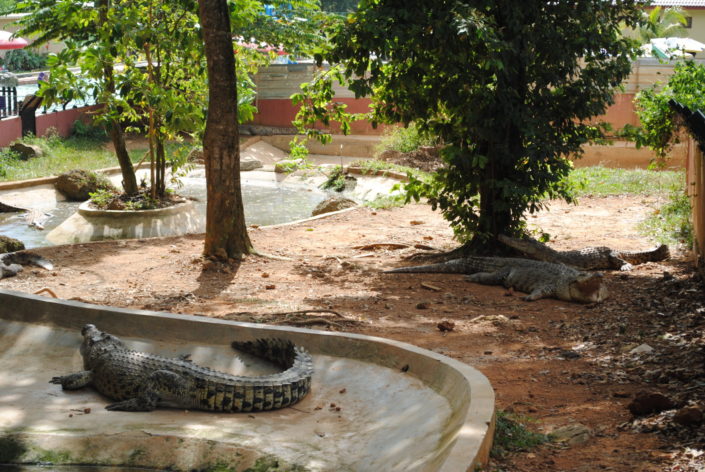 Malaysia, Melaka - Zoo
