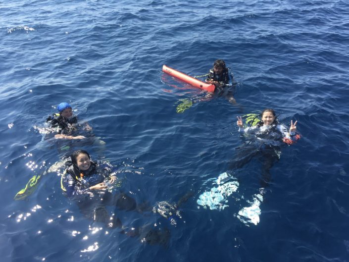 Maldives, Dhigurah - scuba diving