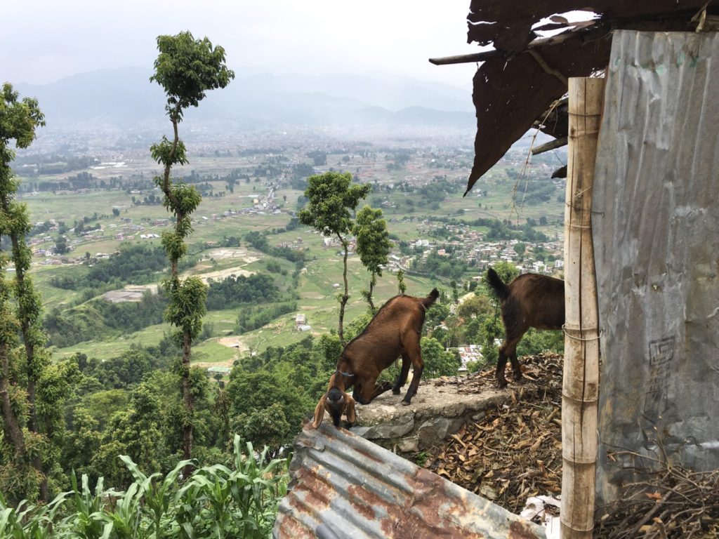 Nepal, Nagarkot - hike to Changunarayan