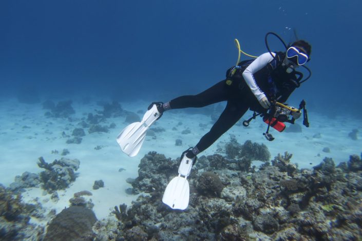 Philippines, Cagayancillo - Tubbataha Reef scuba diving liveaboard