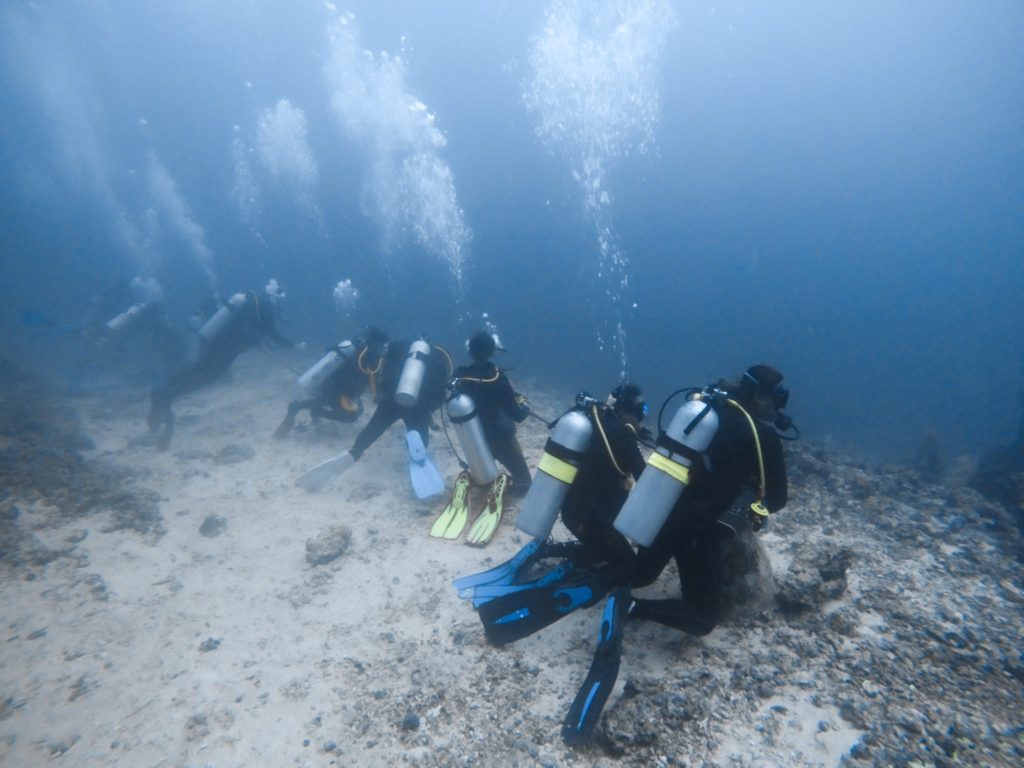 Philippines, Cebu - Malapascua Island, scuba diving with Thresher Sharks