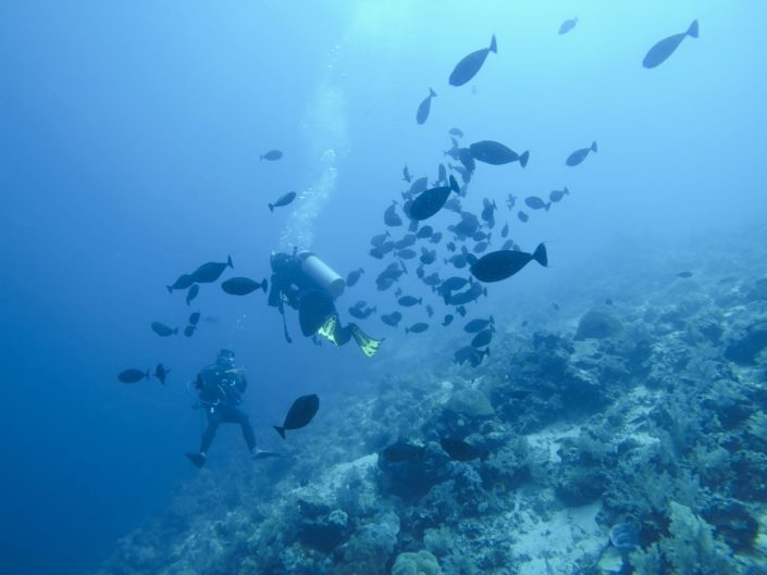 Philippines, Cebu - scuba diving, AOW