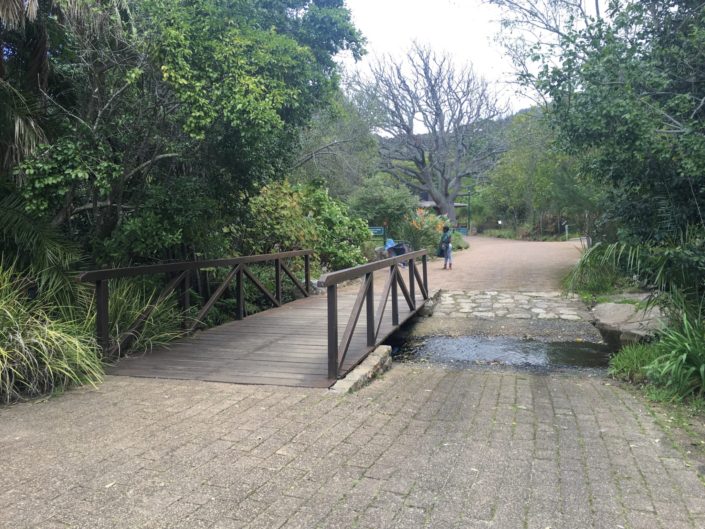 South Africa, Cape Town - Kirstenbosch National Botanical Garden
