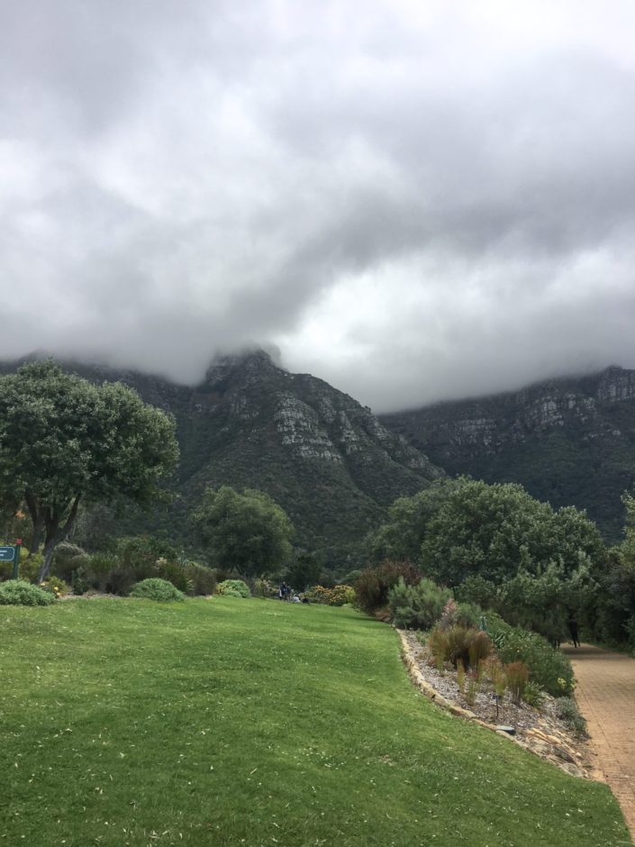 South Africa, Cape Town - Kirstenbosch National Botanical Garden