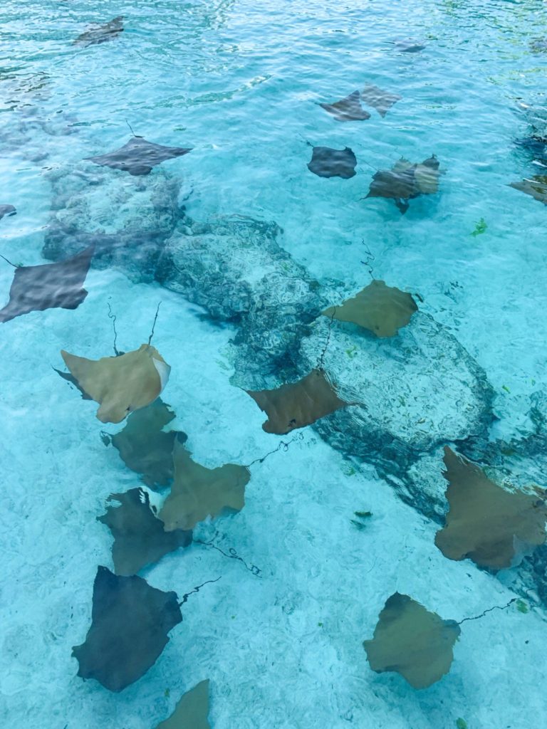 Bahamas, Nassau - Atlantis Resort