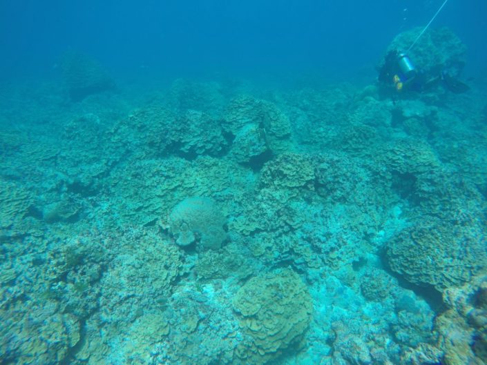 USA, Guam - scuba diving