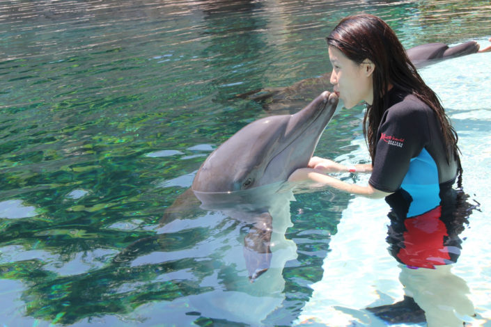 Singapore - Sentosa Dolphin Adventure