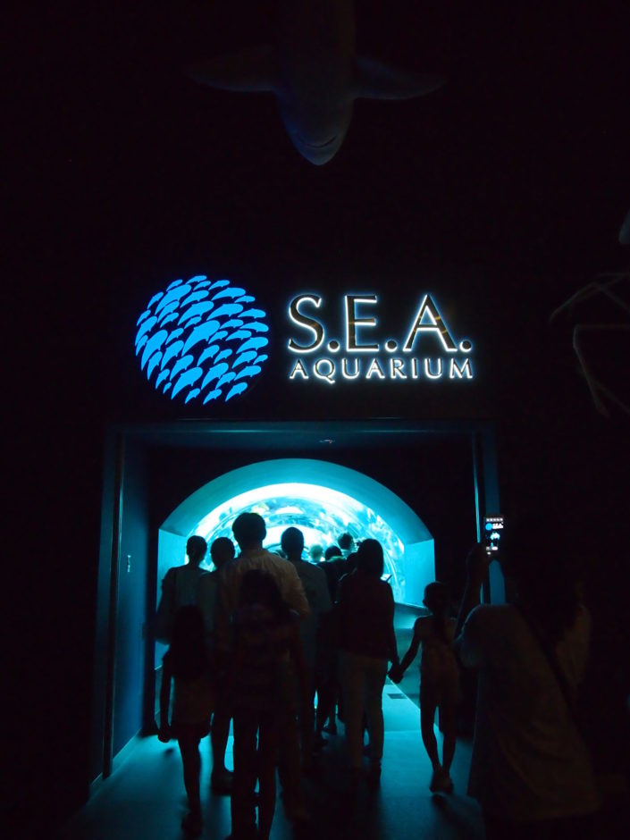 Singapore - Sentosa SEA Aquarium